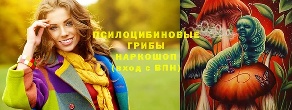 твердый Вязьма