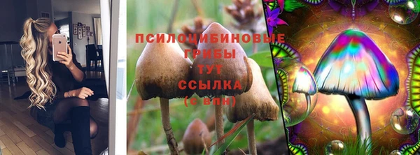 прущая мука Вязники
