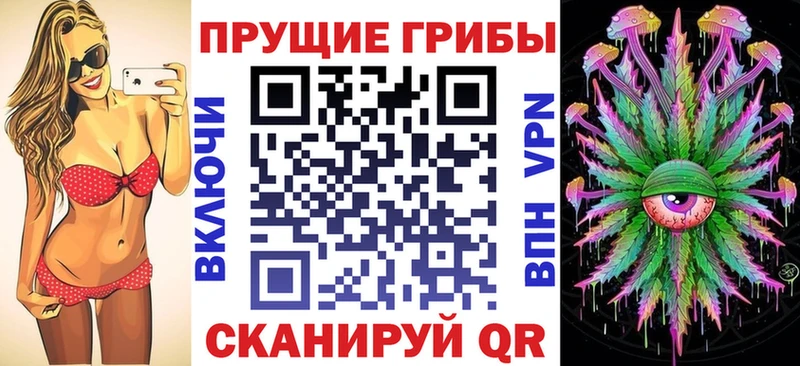 Псилоцибиновые грибы Psilocybe  Купить  Ипатово 