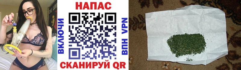 Купить где  Ипатово  МАРИХУАНА ГИДРОПОН 